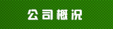 公司概况